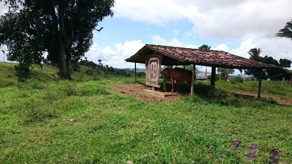 Hotel Fazenda Agua Branca ボニート エクステリア 写真