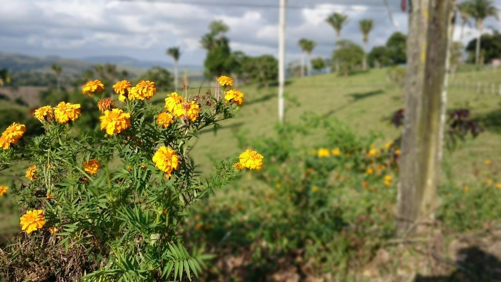 Hotel Fazenda Agua Branca ボニート エクステリア 写真